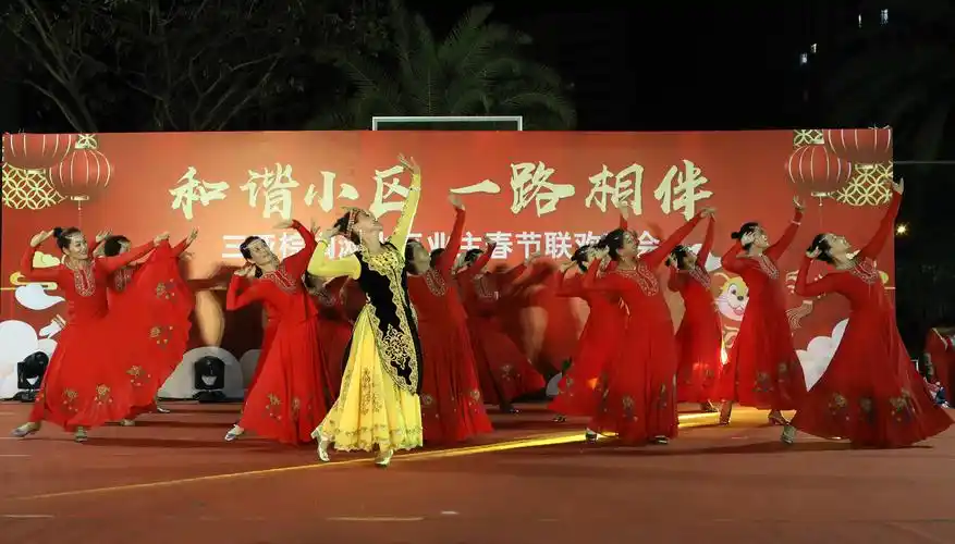 三亚棕榈滩小区业主2020春节联欢晚会