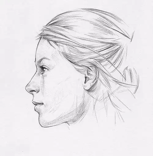 人物头像素描结构