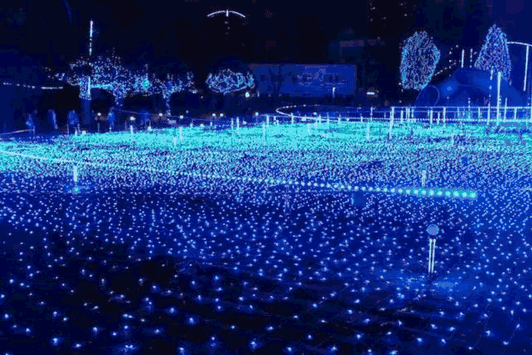 一份来自中秋的梦幻光影秀邀请从来都无法让人拒绝~05互动梦幻之光