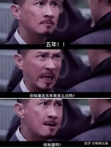 我想到了张家辉的扫毒hhhh 也是五年之后出来的  提问 骆翔也会说这样