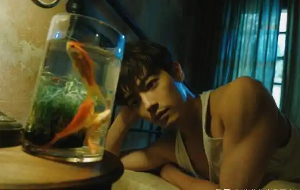 身材不好就别露了,大肚腩白斩鸡,与《封神》质子,差别一目了然