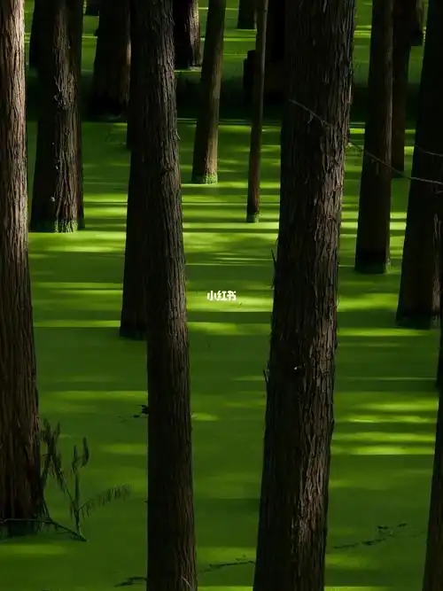 1080_1440竖版 竖屏