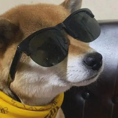 头像男生很想一直喜欢你