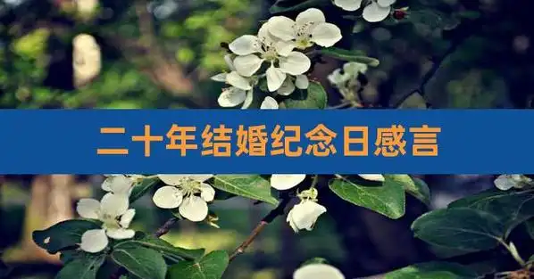 二十年结婚纪念日感言,结婚二十周年最佳感言