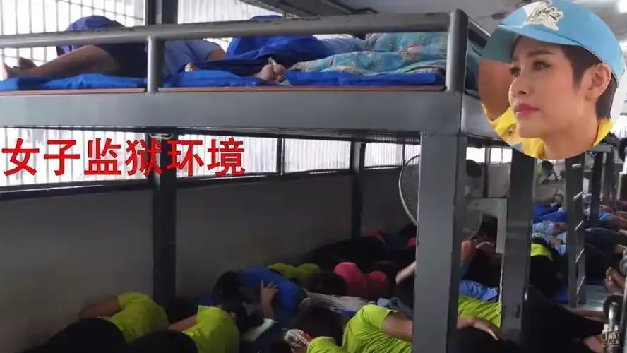 诗妮娜贵妃入狱两年被关押场所睡觉翻身都难还需要劳动改造2