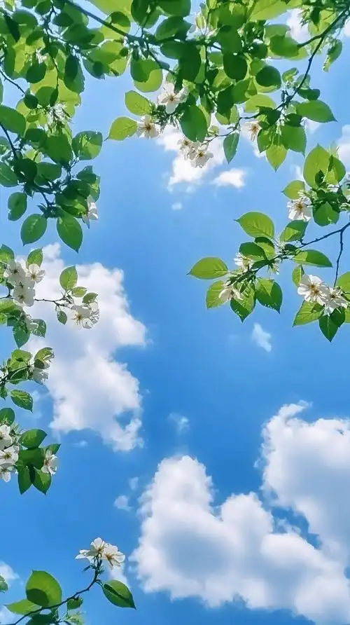 伴读 | 言少者智,思少者福,怨少者乐