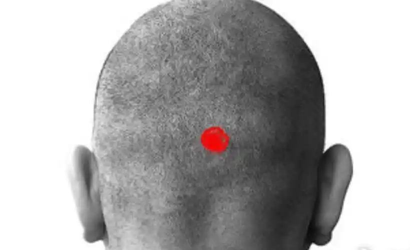 反骨仔是什么意思 反骨是指的什么_法库传媒网