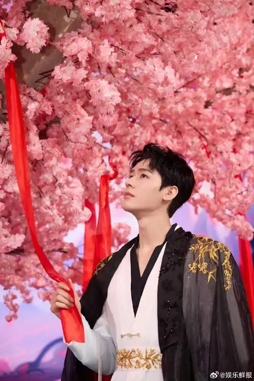 龚俊杨迪说四川话##你好星期六