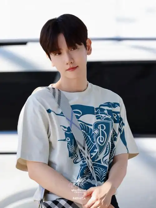 仁川出发7615  "我没话说了,帅死了91"  #边伯贤##baekhyun##边