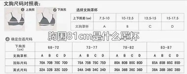 胸围81cm是什么罩杯-最新胸围81cm是什么罩杯详解