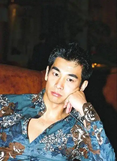 赵文卓:我现在没有能力养她,暂时不结婚,记者:反正梅艳芳有钱_误会