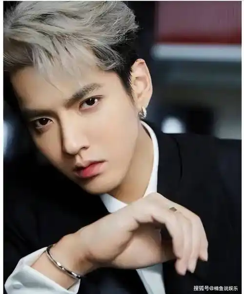 吴亦凡真的判了!13年加驱逐出境,二审维持原判!_明星_结果_顶流