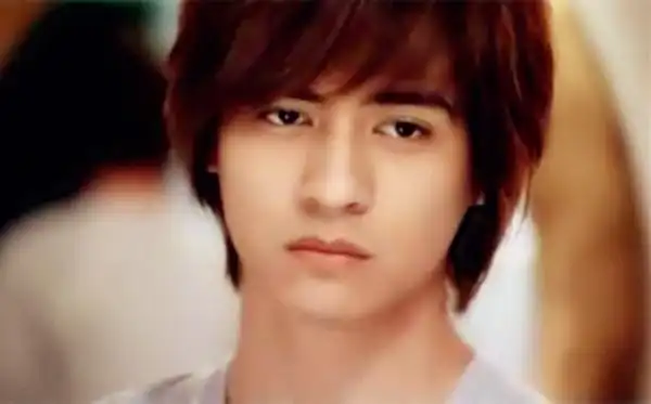 再看《流星花园》中的六大帅哥,原来言承旭,周渝民都不是最帅的
