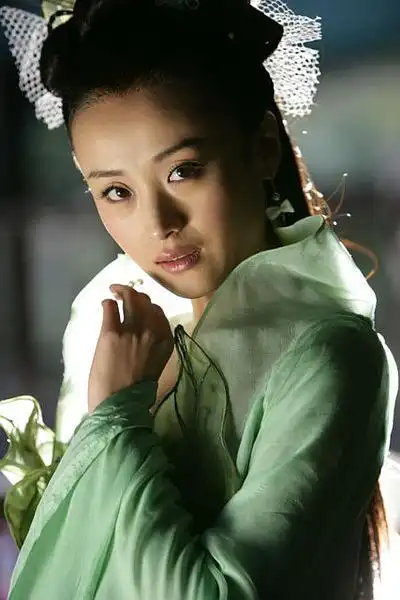 公孙绿萼·神雕侠侣·傅淼