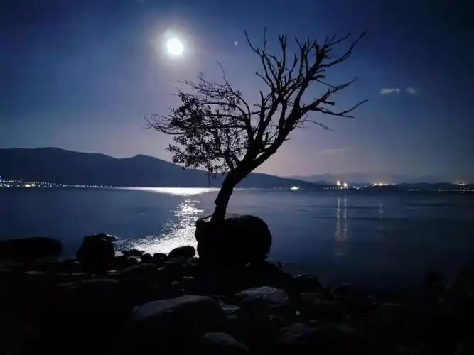 我望向那抹月光时,也将自己的记忆和思念又装进去了一点.