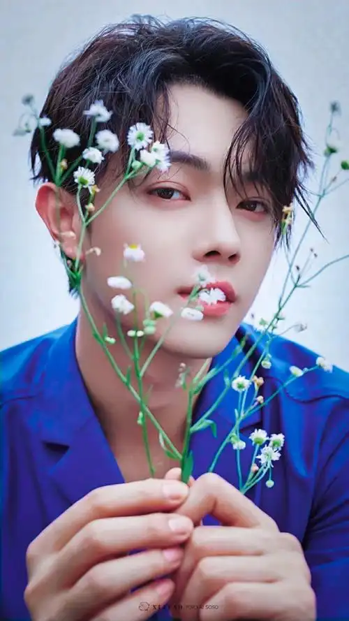 许凯 红秀 截修 cr. ·夏夭· - 堆糖,美图壁纸兴趣社区