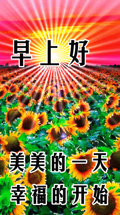 11月4日最漂亮早上好动态表情图片大全早晨好动图美图大全