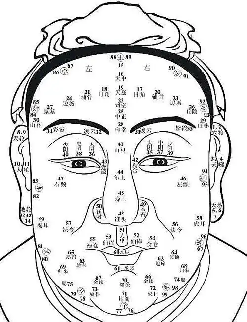 面相起名图解上