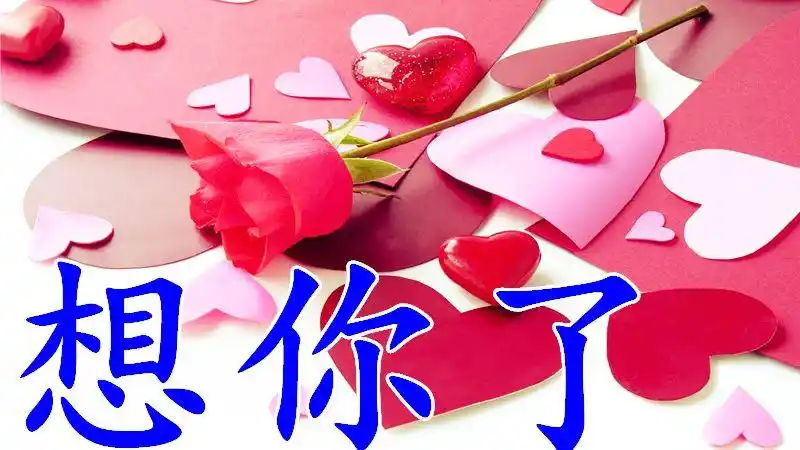 亲爱的想你了,真的想你了,点了一首暖心的情歌送给你