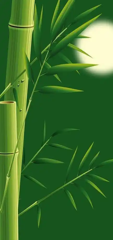 全屏壁纸清新好看的竹子收藏起来吧