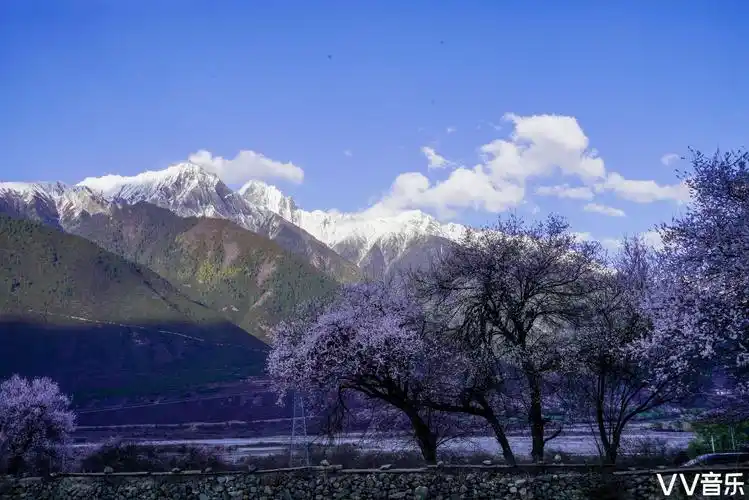 西藏波密桃花沟