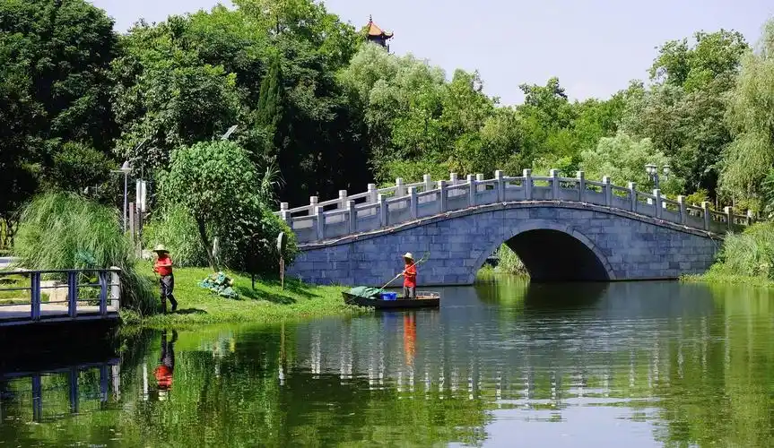 夏日印象----武汉解放公园掠影!