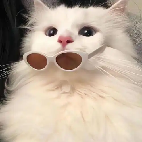 高级质感男生女生通用动物头像 ins风可爱动物头像