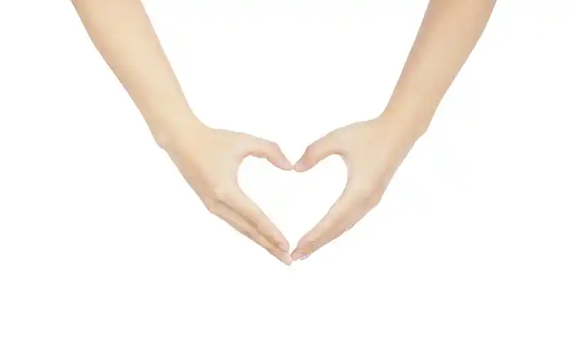 白底手势比心心形爱心人物手势双手比心