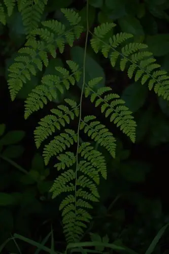 800_1200竖版 竖屏