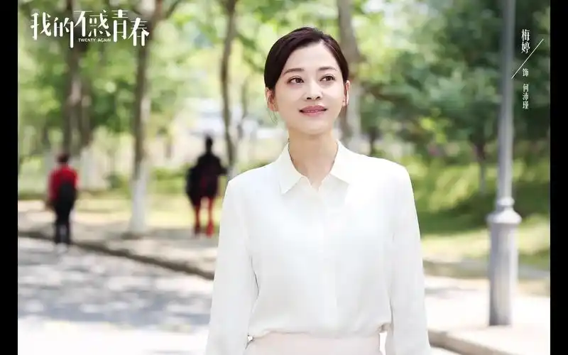 我的不惑青春,片头曲,青春的滋味,赵天宇,导演:王梓,主演:梅婷,陈龙