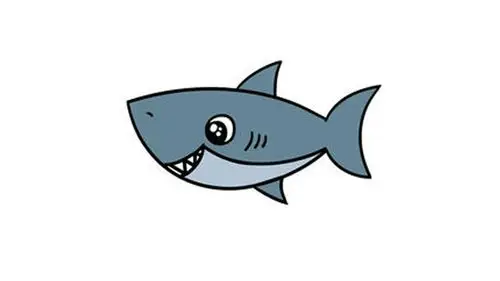 大鲨鱼简笔画的画法