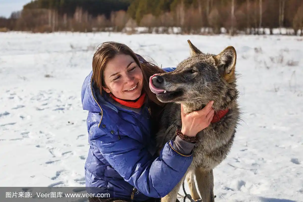 雪中的女人和她的狼