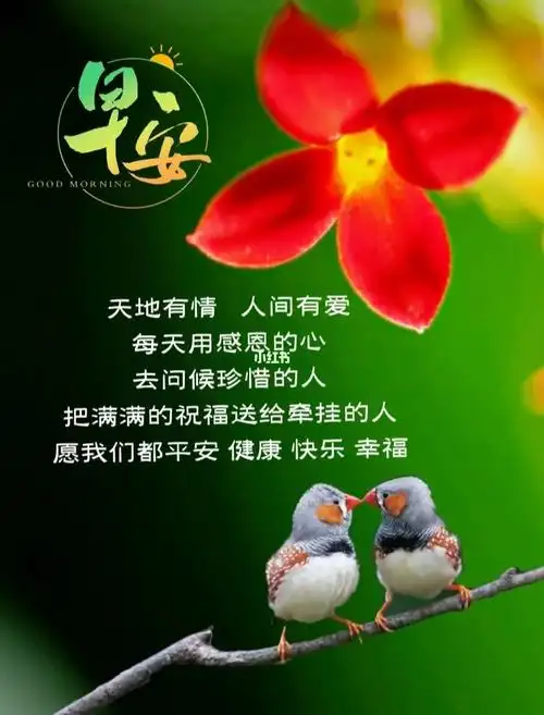 天地有情人间有爱早安