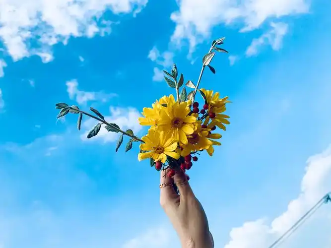 蓝天与花,让心情更美好些