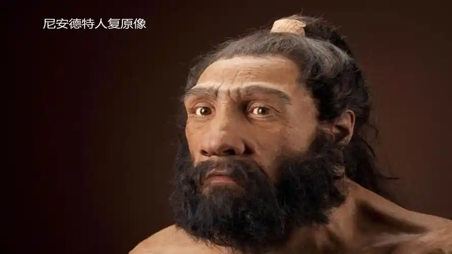 连猩猩都打不过,人类这么弱,人类祖先是如何活下来的?