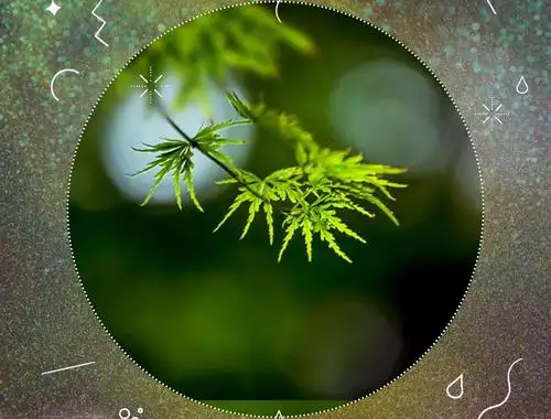 一缕清风谁对月 半杯浊酒醉天涯