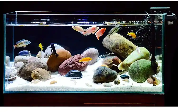 套餐底砂鱼缸生态水陆缸造景沙龟缸鹅卵石30cm原生缸造景套餐视频辅导