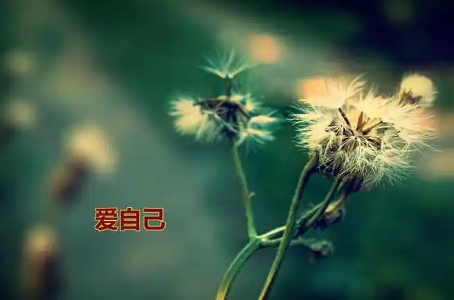 一点生命之—520爱自己《重遇未知的自己》