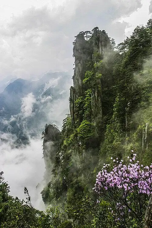 云雾缭绕山间如仙境一般,景色就像大自然泼墨挥就的一幅幅山水画作