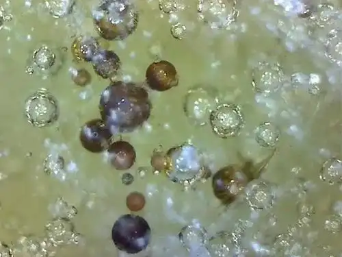 瓷器的老化痕迹和鉴定方法