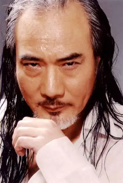 香港影视武打动作明星大全男篇上