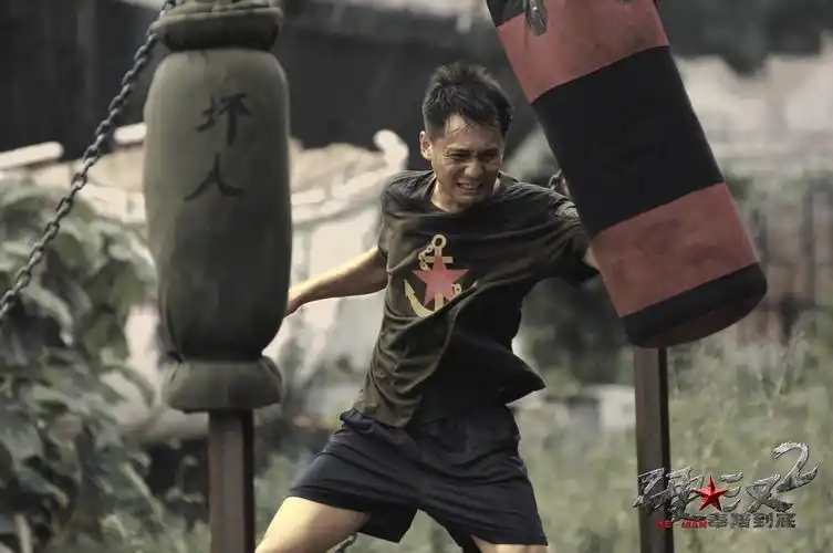 硬汉2:奉陪到底