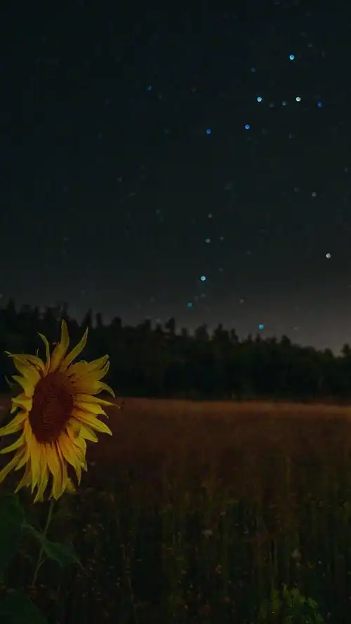 2021年最火背景图,好看的星空壁纸梦幻手机壁纸