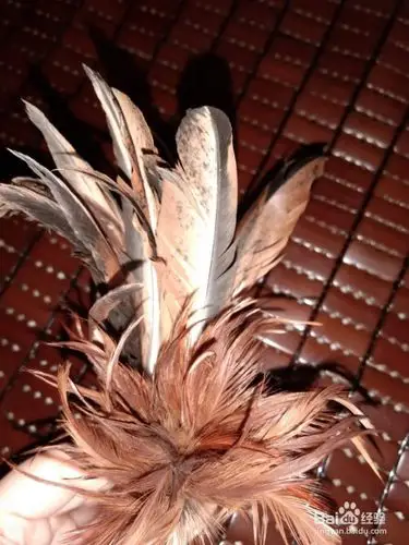 如何将鸡毛做成彩色羽毛