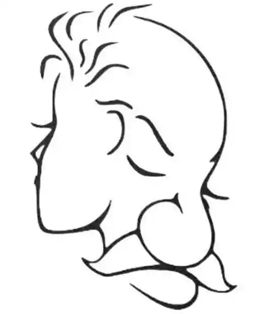 如果你最先看到一个骷髅,那么你就是一个叛逆者,一个思想自由的人