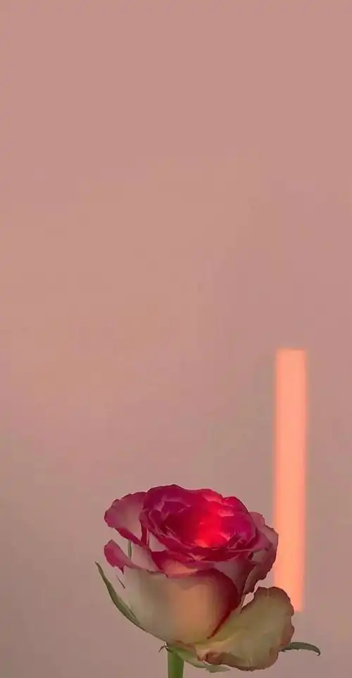 高清壁纸春天的气息