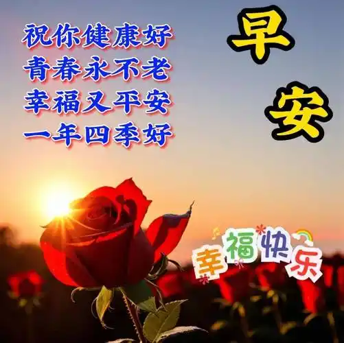 11月30日周四早上好,最新版漂亮早安祝福语表情图片大全_问候_阳光