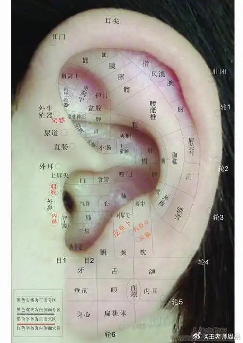 女人反断.木主肝脏.