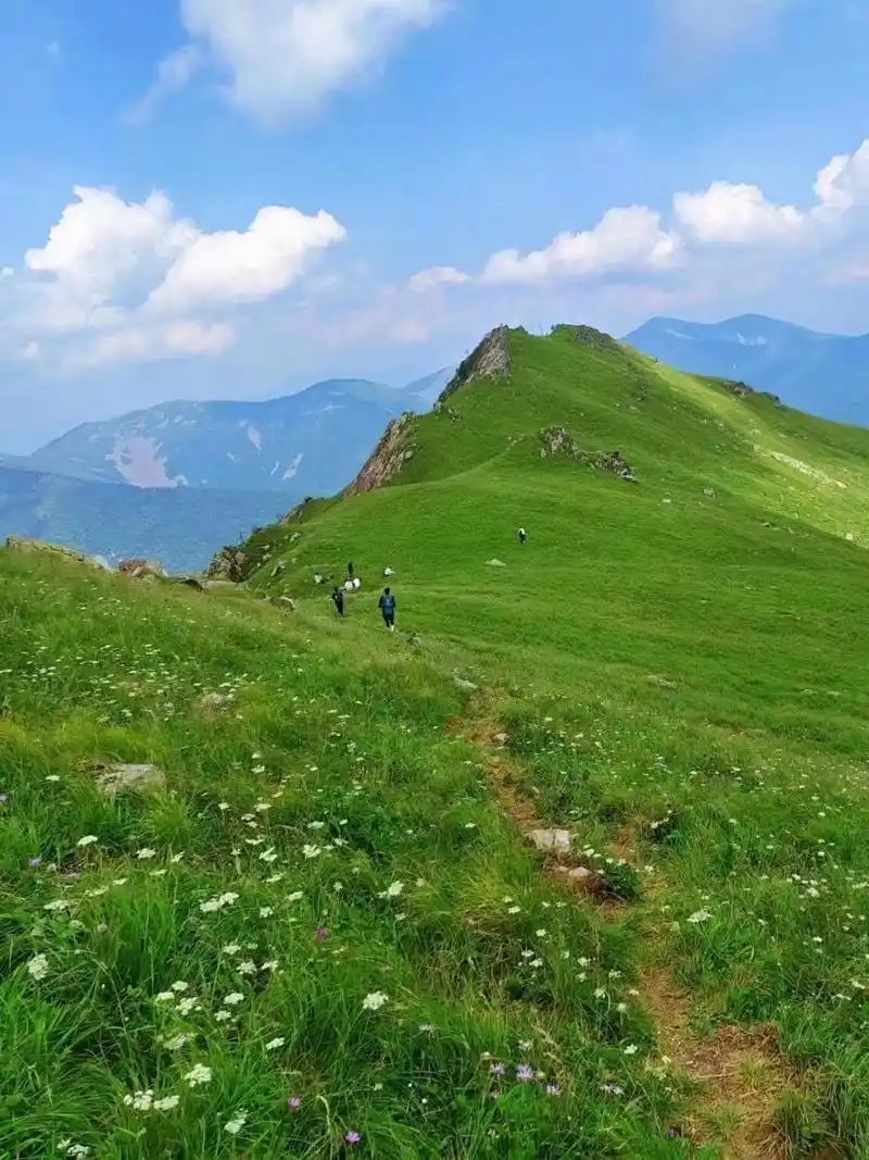 西安封神级的10大高山草甸 95美爆了 7215秦岭美景百看不厌,这