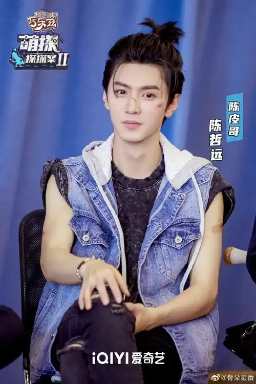 陈哲远萌探探探案